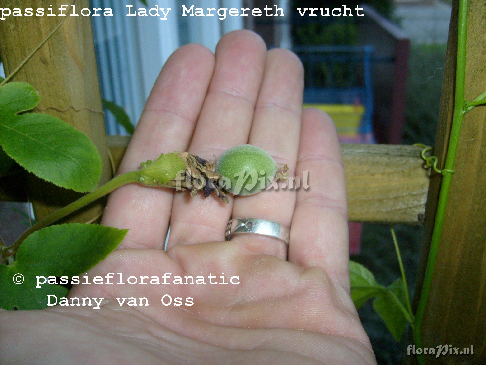 passiflora lady margereth