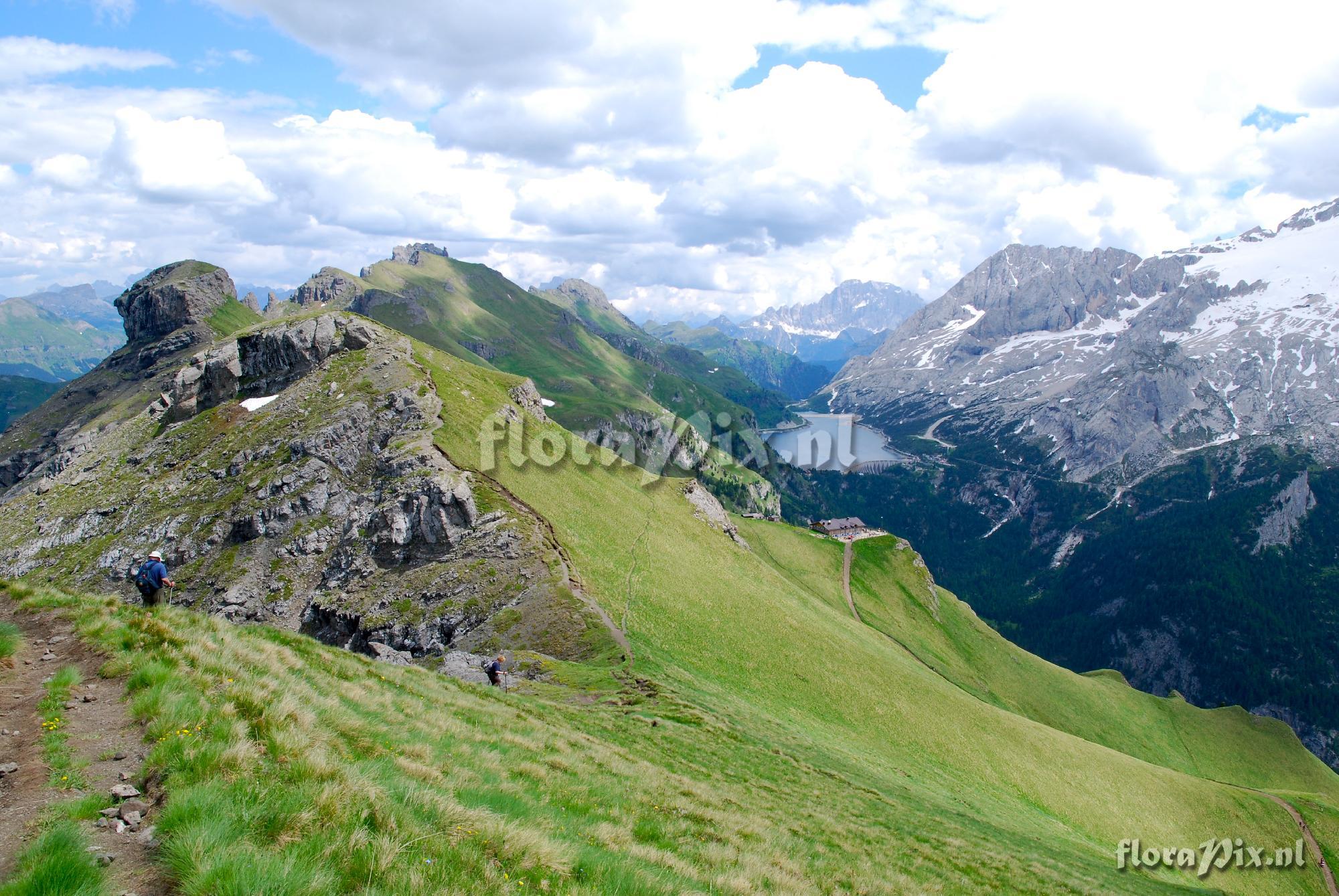 5-places Bindelweig, Dolomites