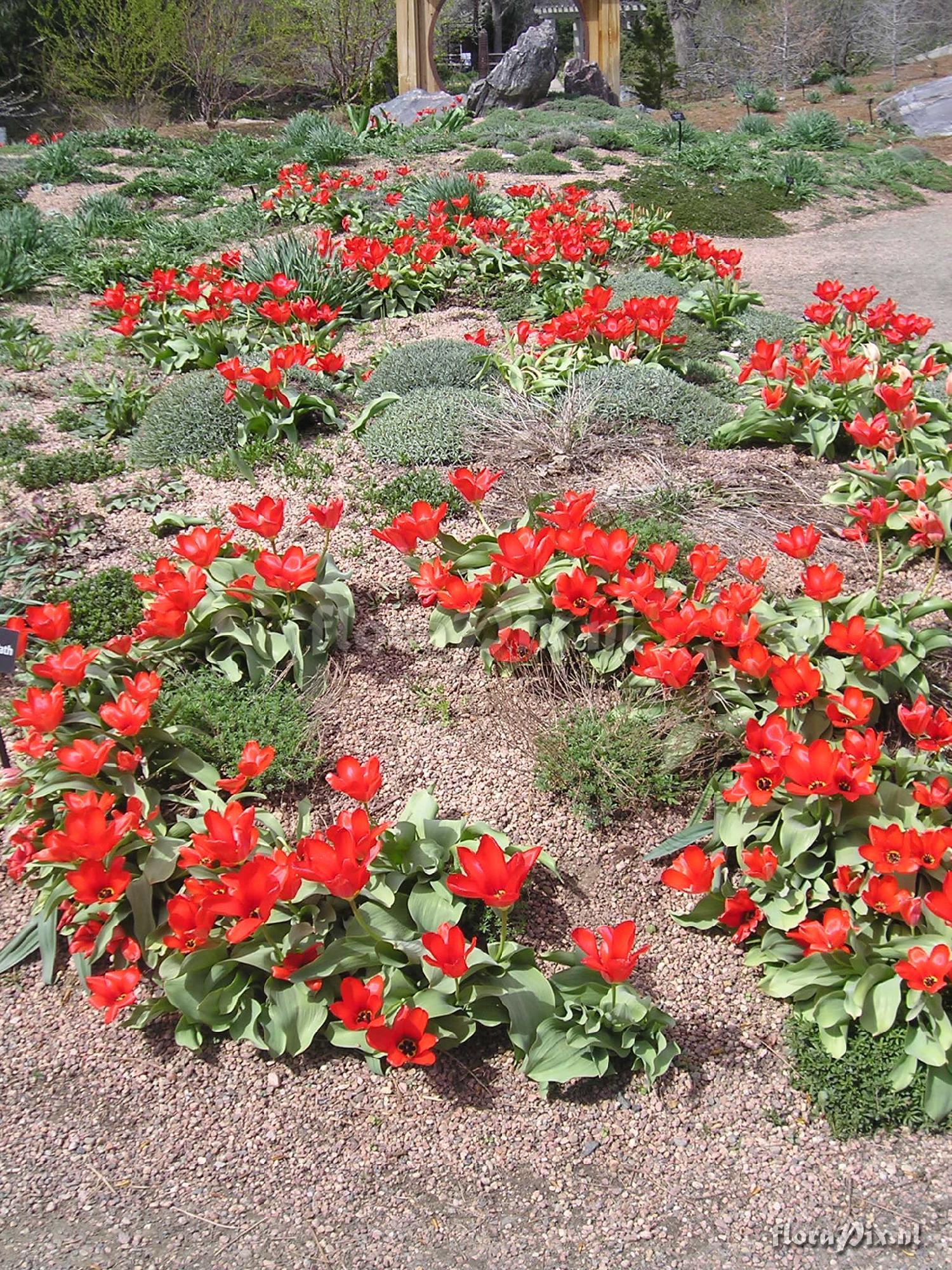 1-gardens Denver Botanic Gardens