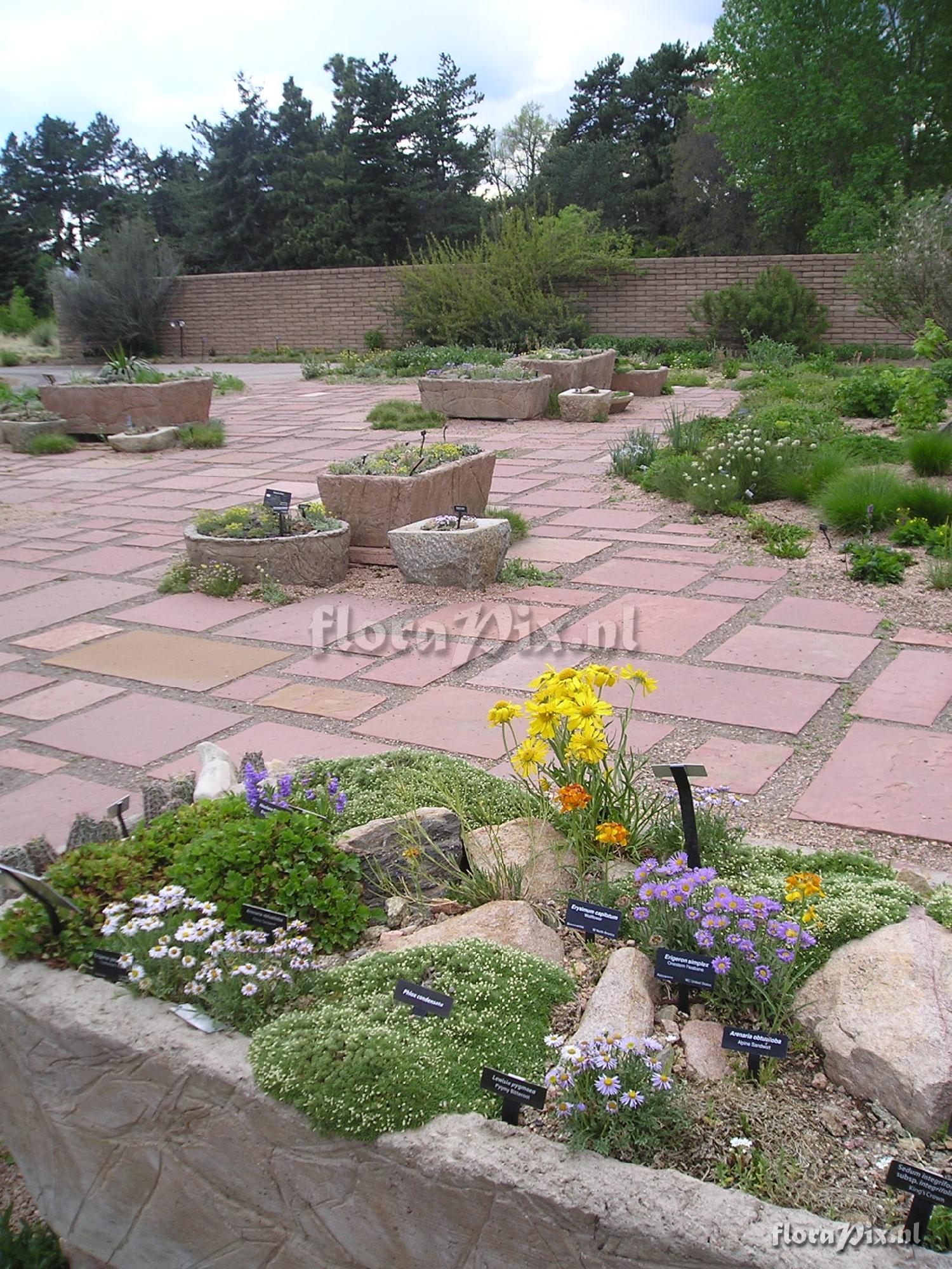 3-troughs Denver Botanic Gardens 