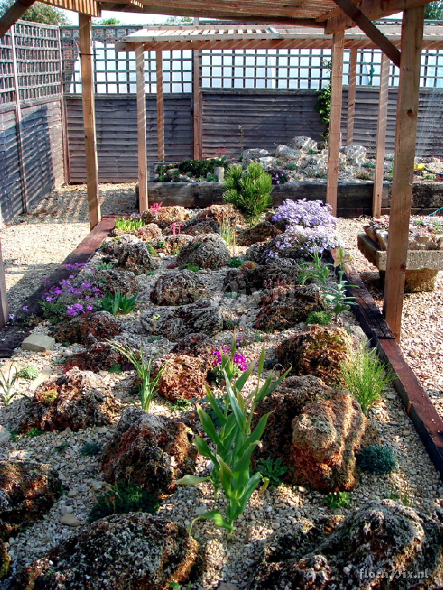 1-gardens mixed alpines in Tufa bed