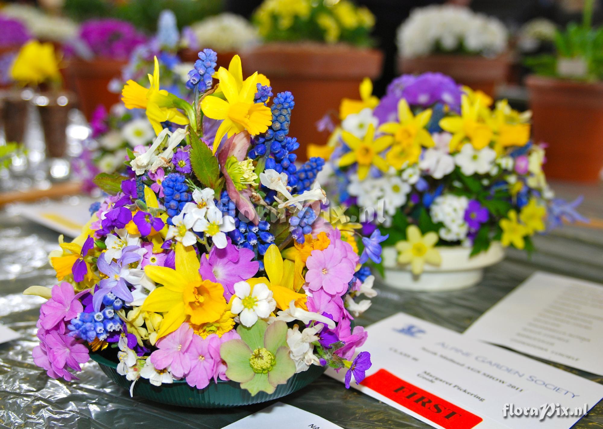 2-shows ARRANGEMENT OF CUT ALPINE FLOWERS