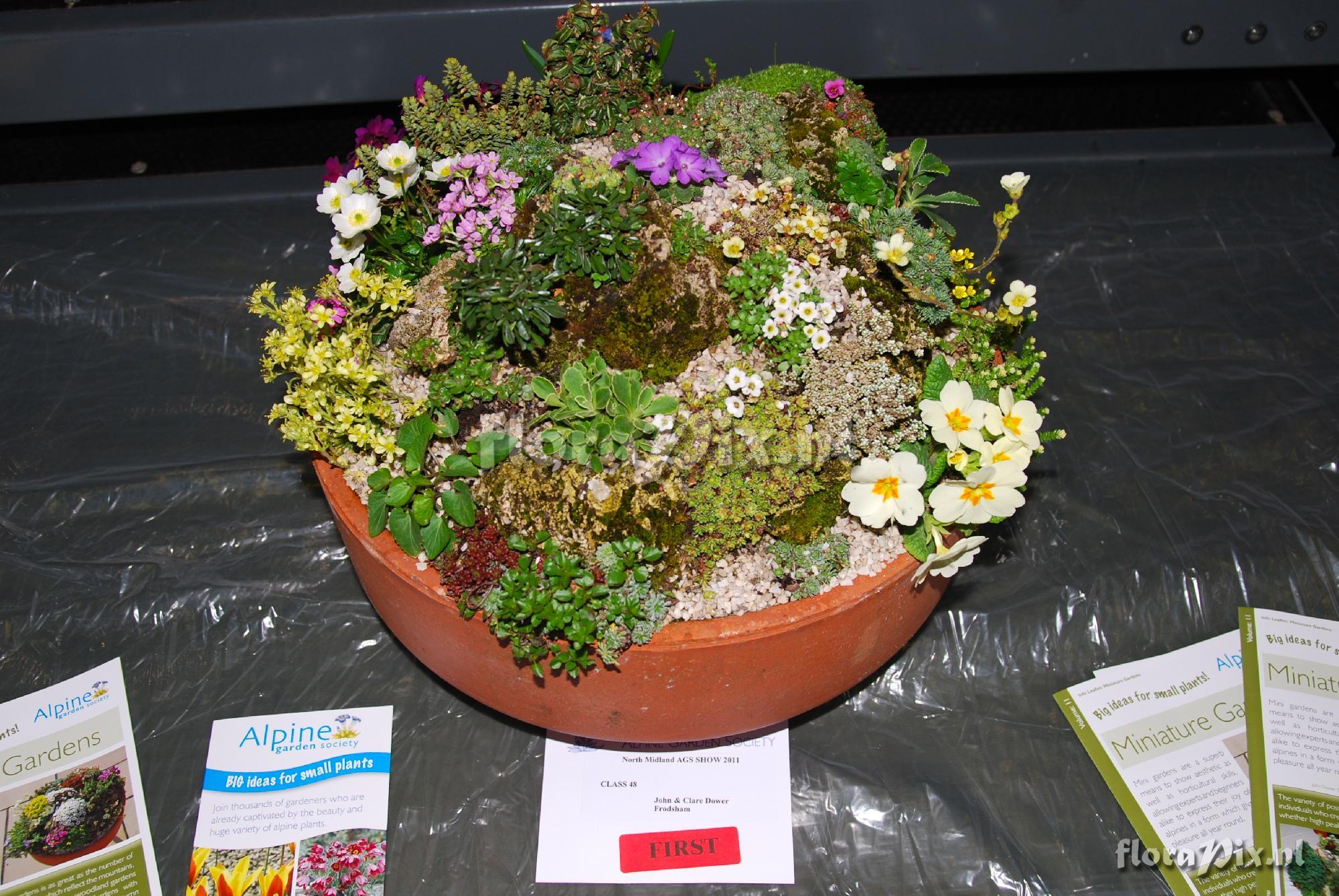 Winning miniature garden