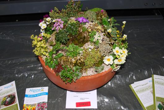 Winning miniature garden