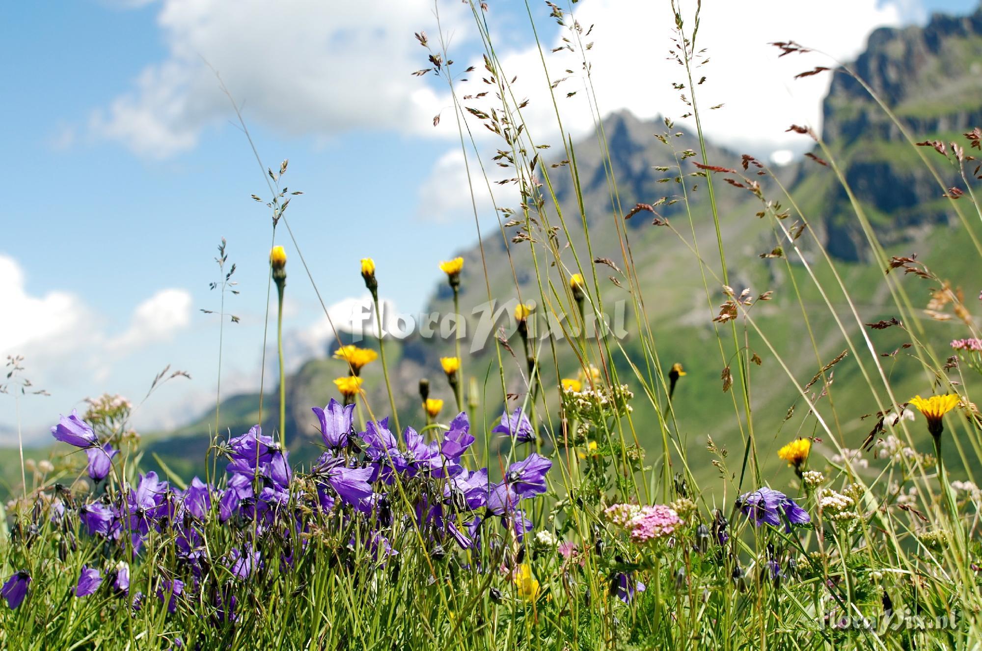 5-places Pordoi Pass in the Dolomites