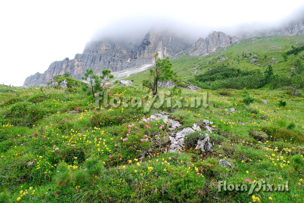 Dolomites - Della L