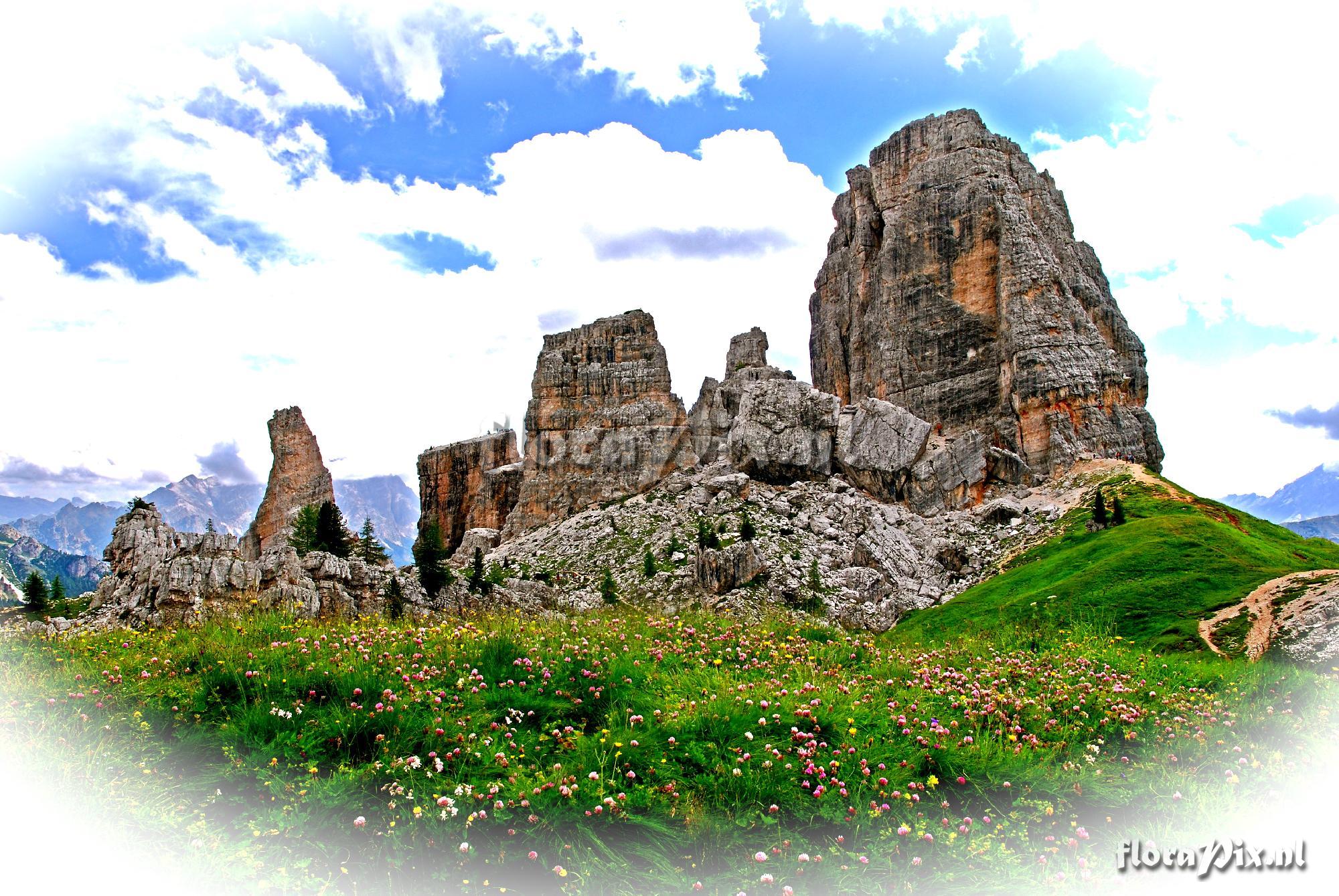 6-dolomites Abundance of flowers